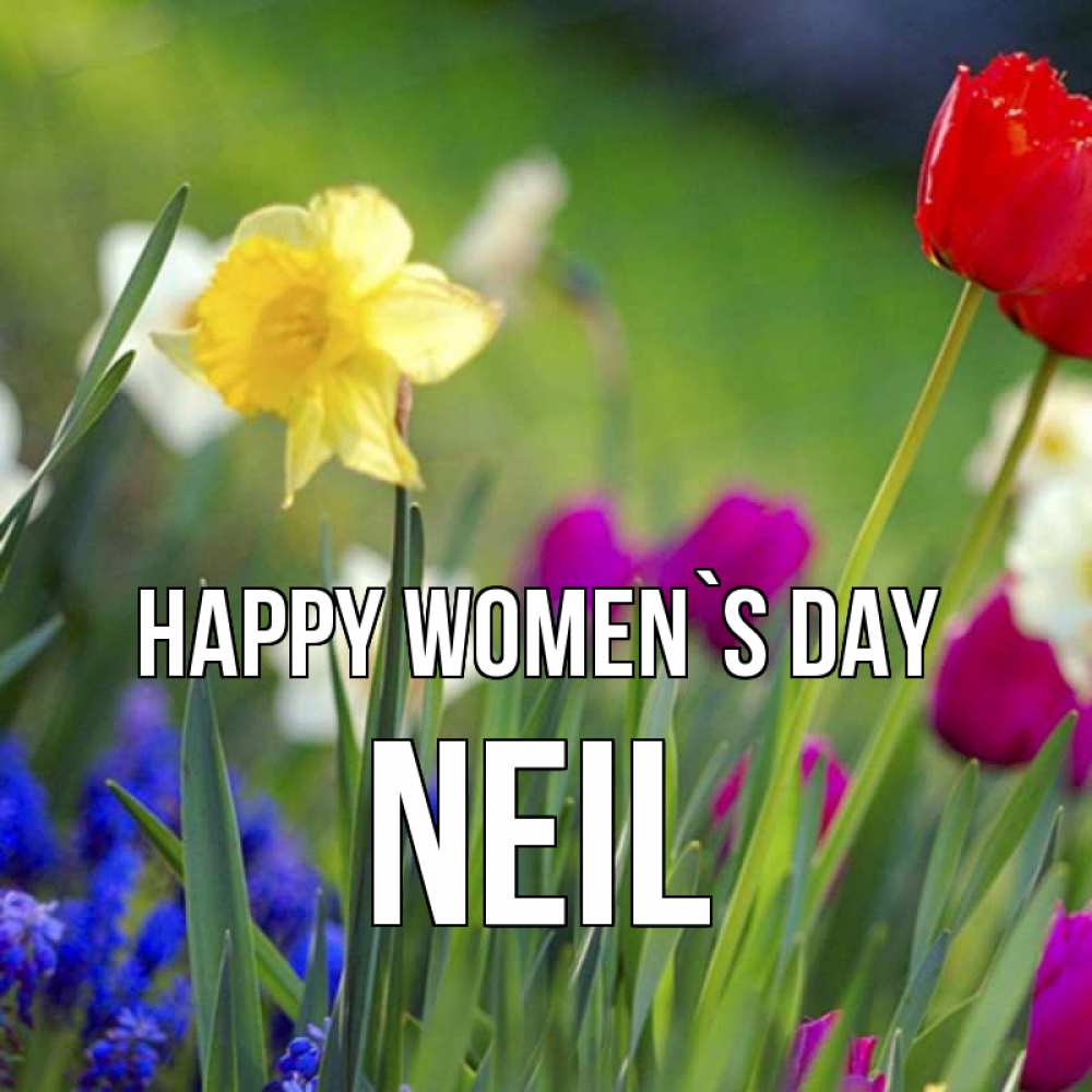 Greetings card с именем, Neil happy women`s day международный женский день 3 Greetings with text for free download 